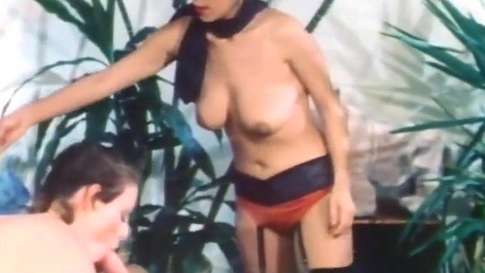 Swedish Vintage: Classic Fucking