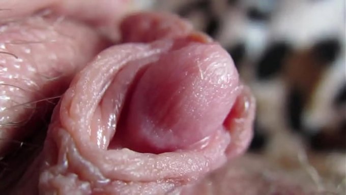 A Big Clit Can Bring Intense Orgasms In Sex